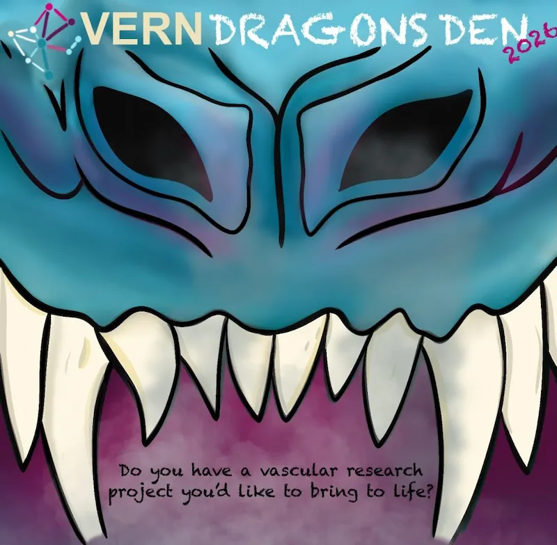 VERN Dragon’s Den 2026 vascular research project competition